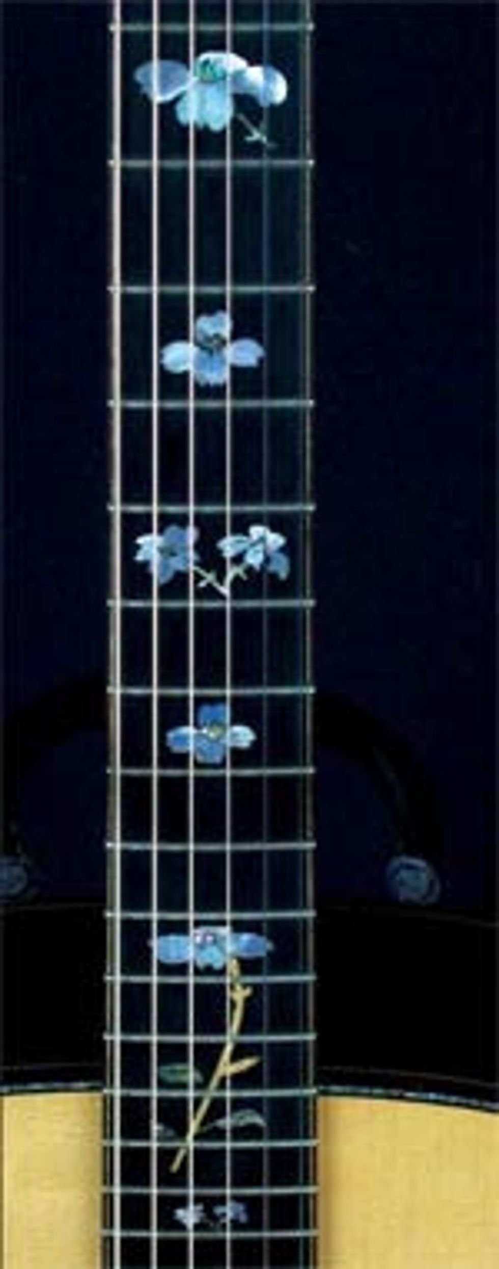Bluegrass Authenticity