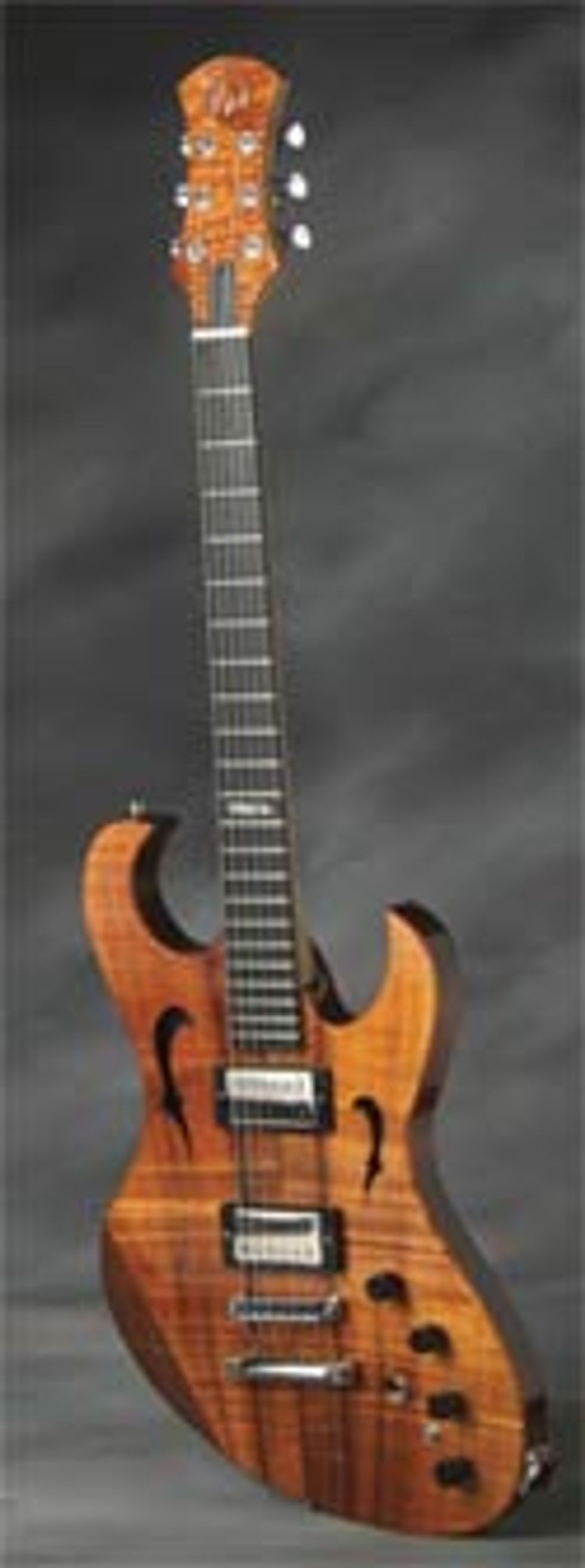 Brown’s Guitar Factory BGF Guitar