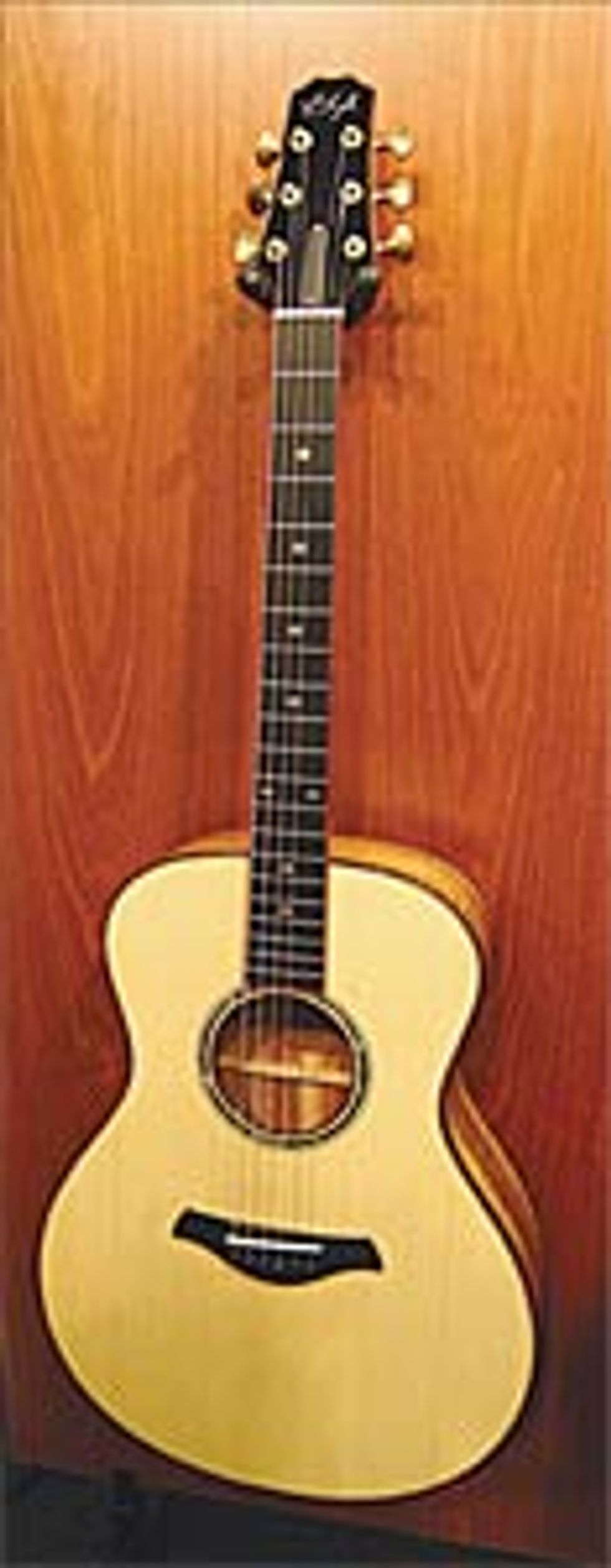 R. Taylor Style 2 Acoustic