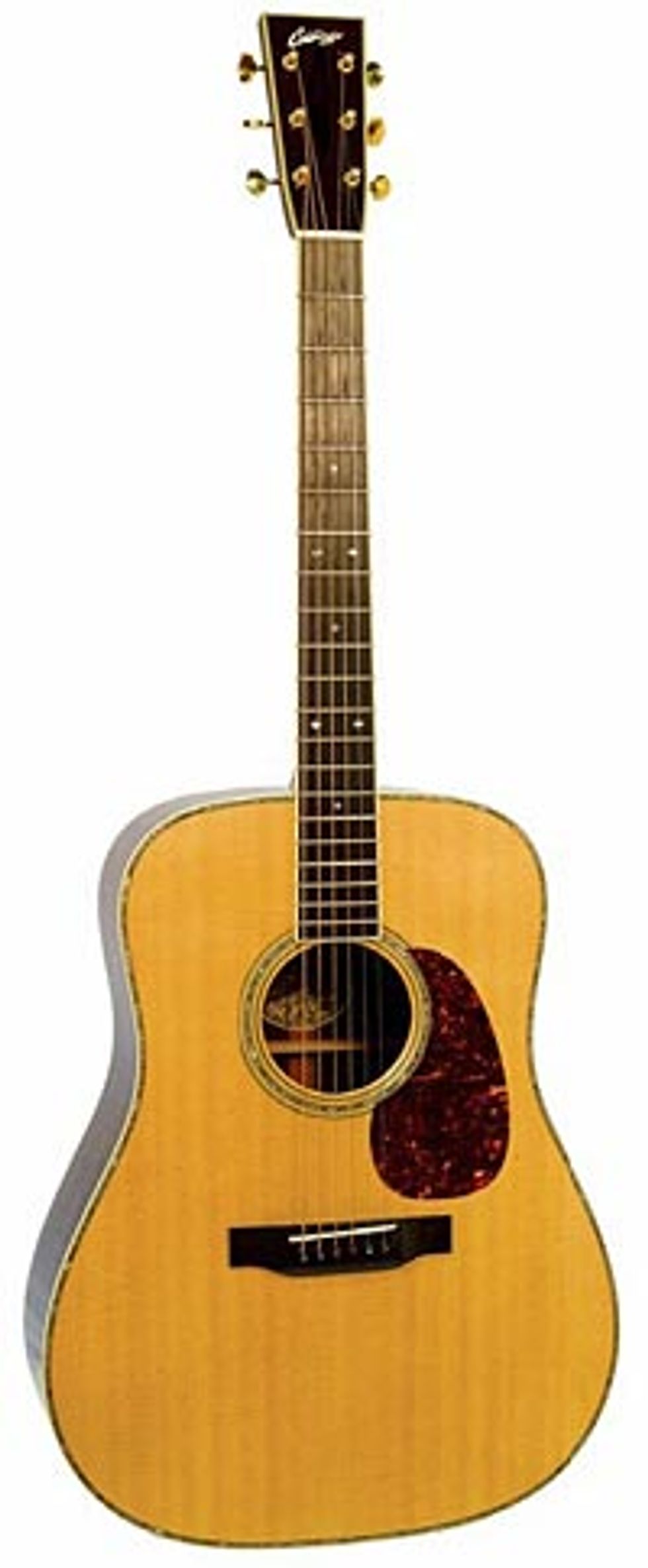 Guitar Trash or Treasure