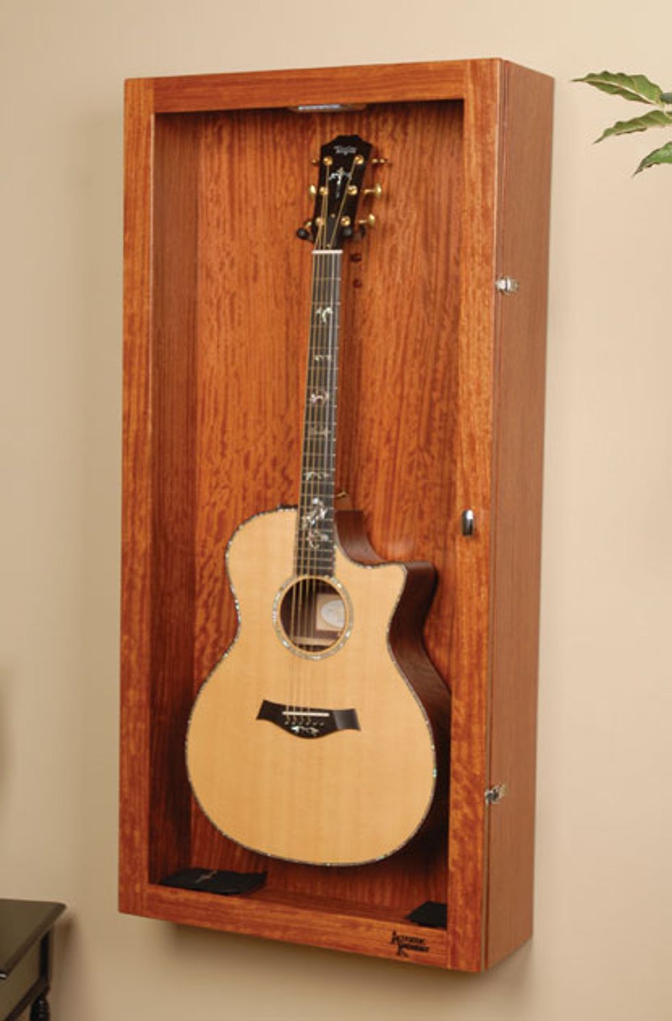 Acoustic Soundboard Appreciating the Beauty of Underused Guitars