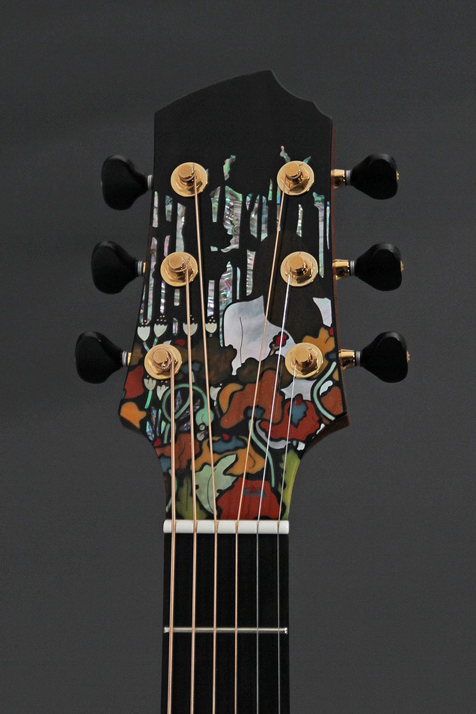 Divine Obsession 5 HighEnd Acoustic Guitar Builders Premier Guitar