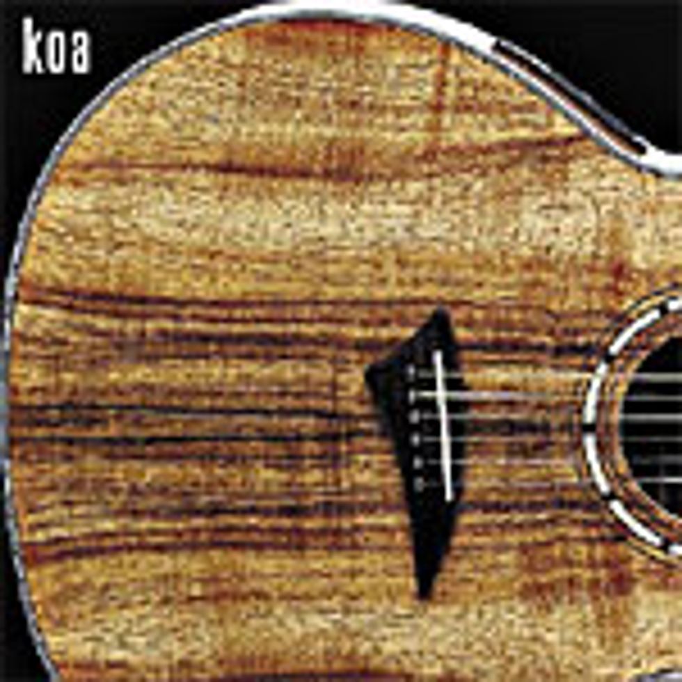 Exploring Alternative Tonewoods