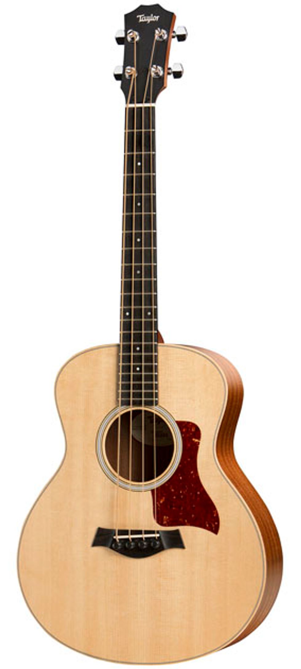 66---Taylor-Guitars-GS-Mini-e-Bass.jpg