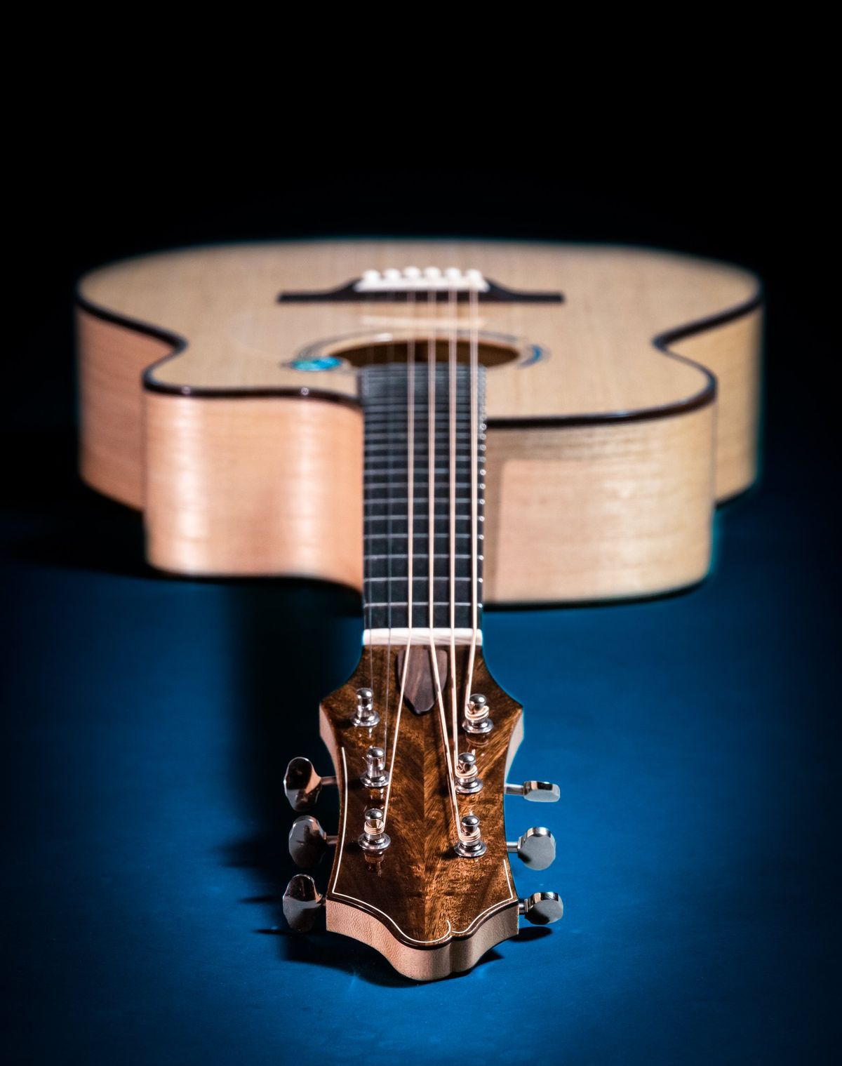 Lutherie’s Future Is in Alternative Tonewoods