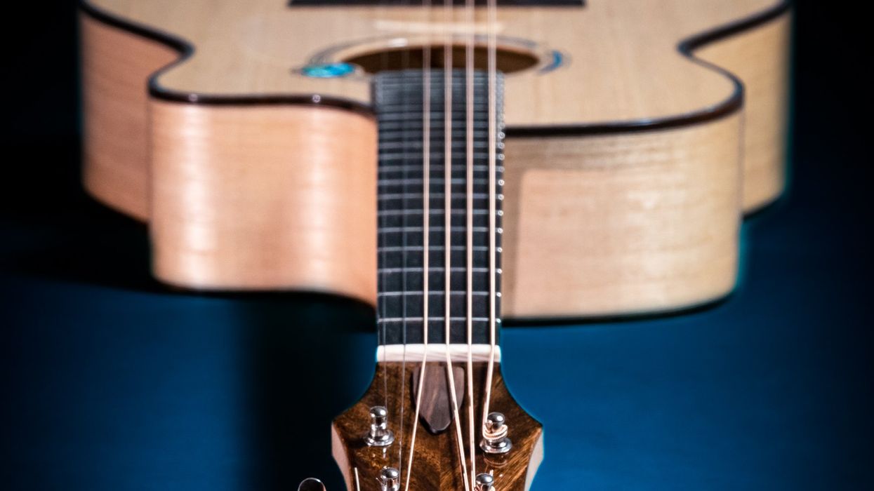 Lutherie’s Future Is in Alternative Tonewoods