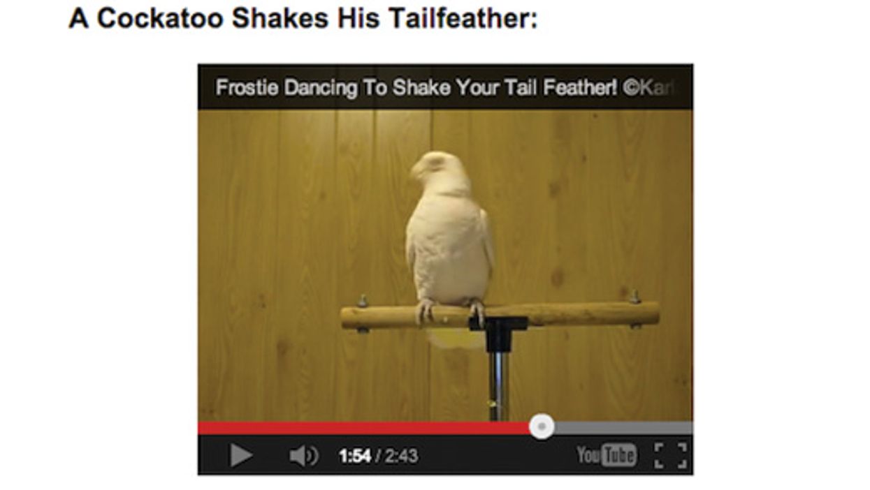 Last Call: Caveman Wiring