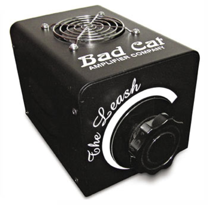 Bad Cat: 