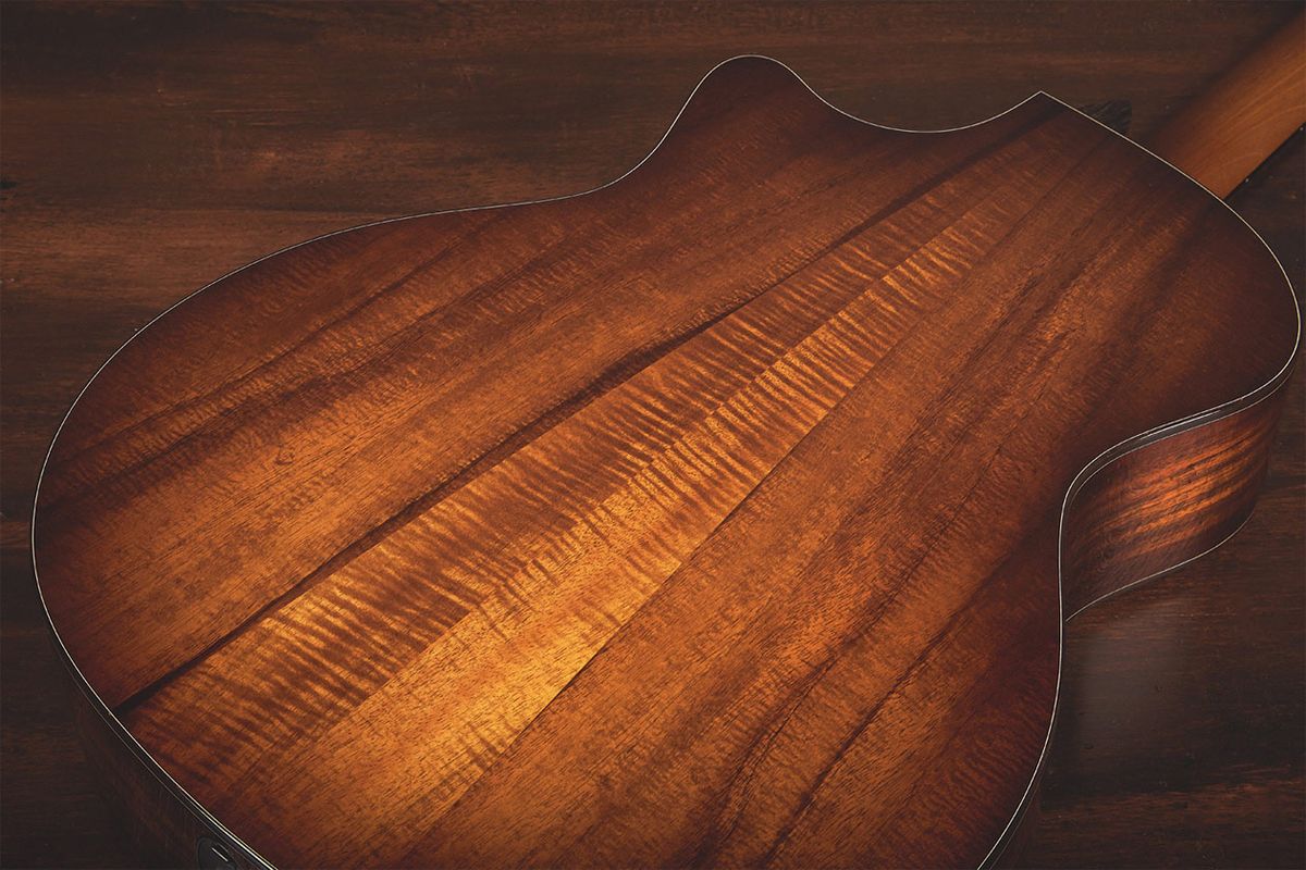 What Matters More in an Acoustic Guitar—Design or Tonewoods?