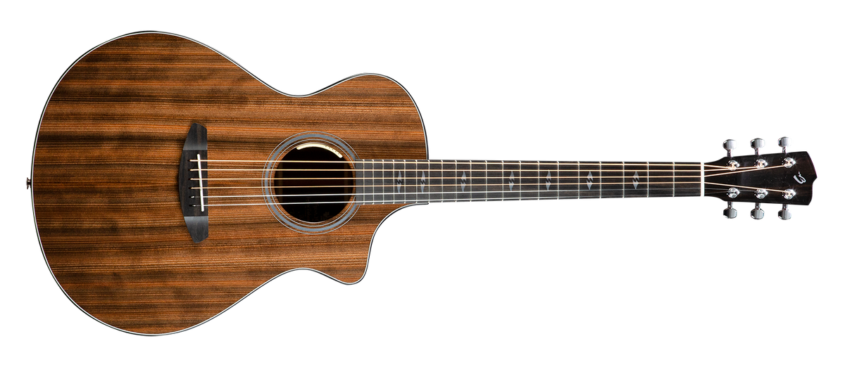 Breedlove 30th Anniversary Focus SE