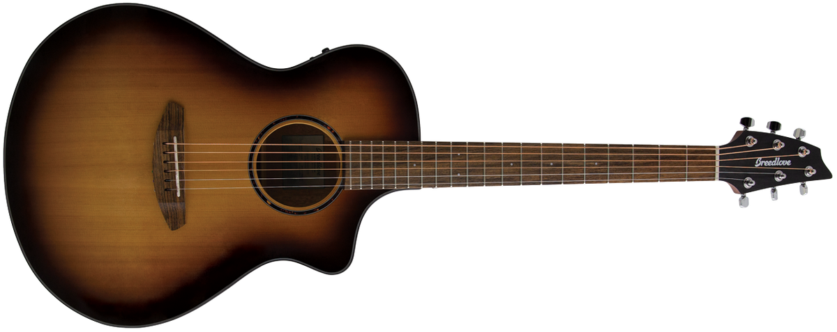 Breedlove Discovery S Concert CE