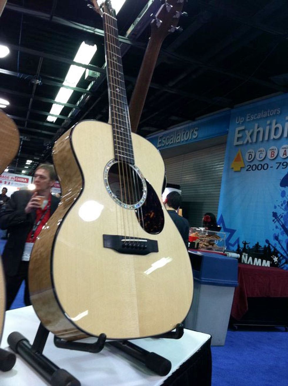Breedlove Master Class Atlantic OM