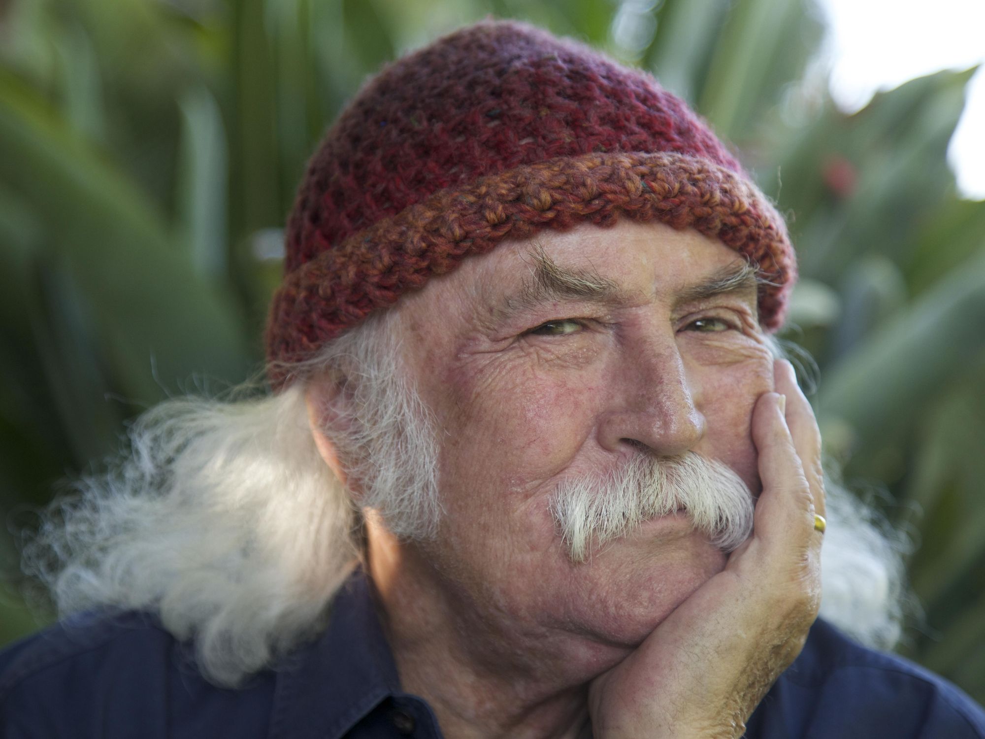 The Indelible Imprint of David Crosby