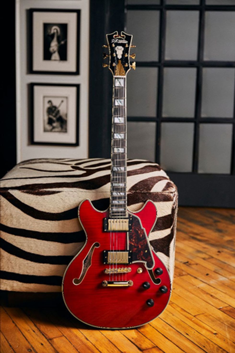 D’Angelico Guitars