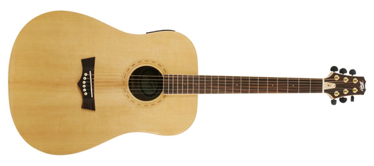 Peavey Announces DW Acoustic Guitar Series