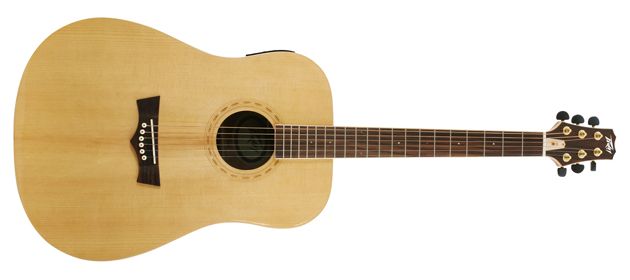 Peavey Announces DW Acoustic Guitar Series