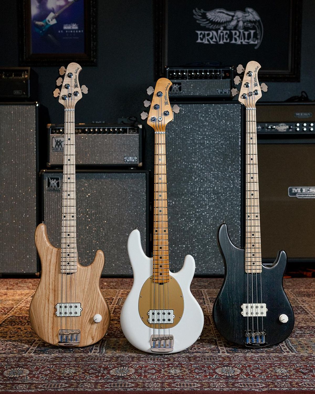 Ernie Ball Joe Dart