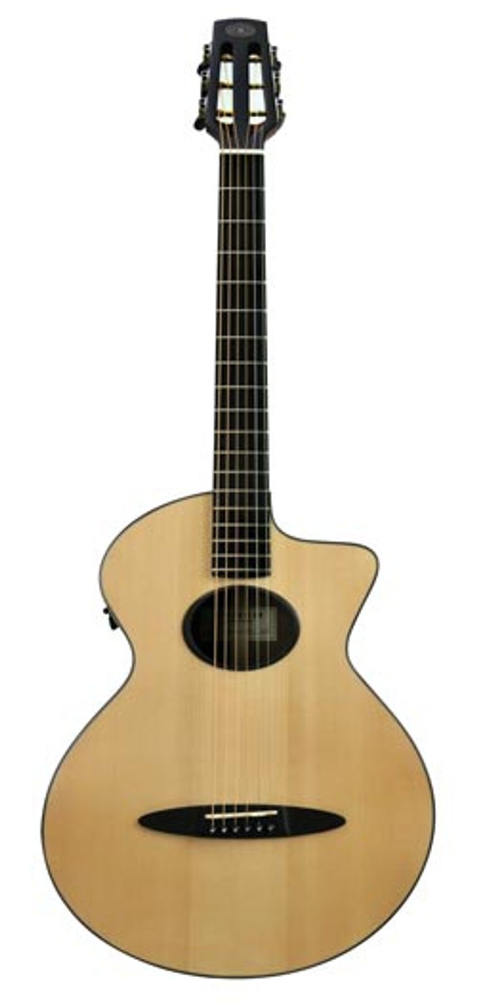 Schertler SM AcousticElectric Guitar Review Premier Guitar