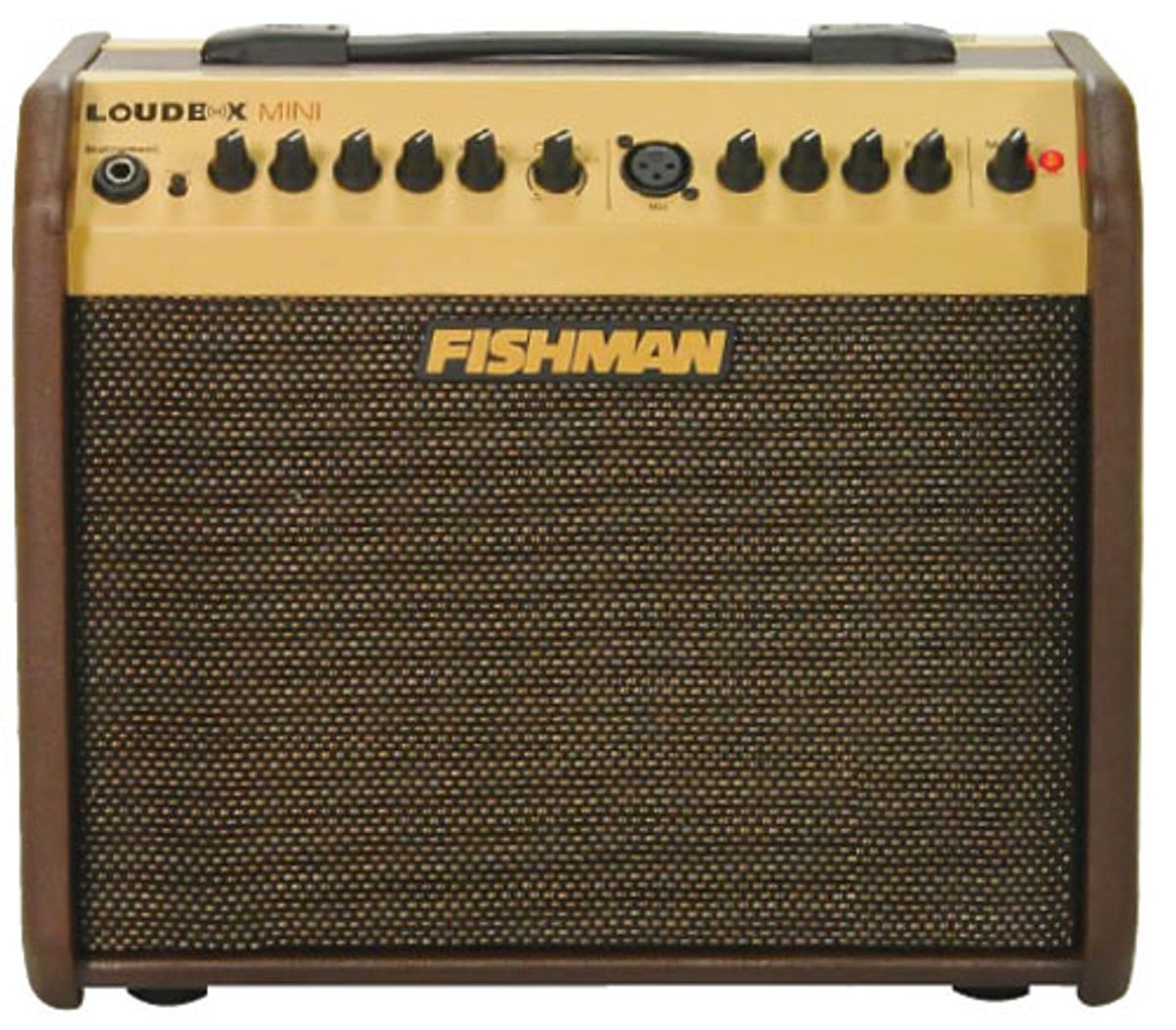 Fishman Loudbox Mini Acoustic Amp Review Premier Guitar The best