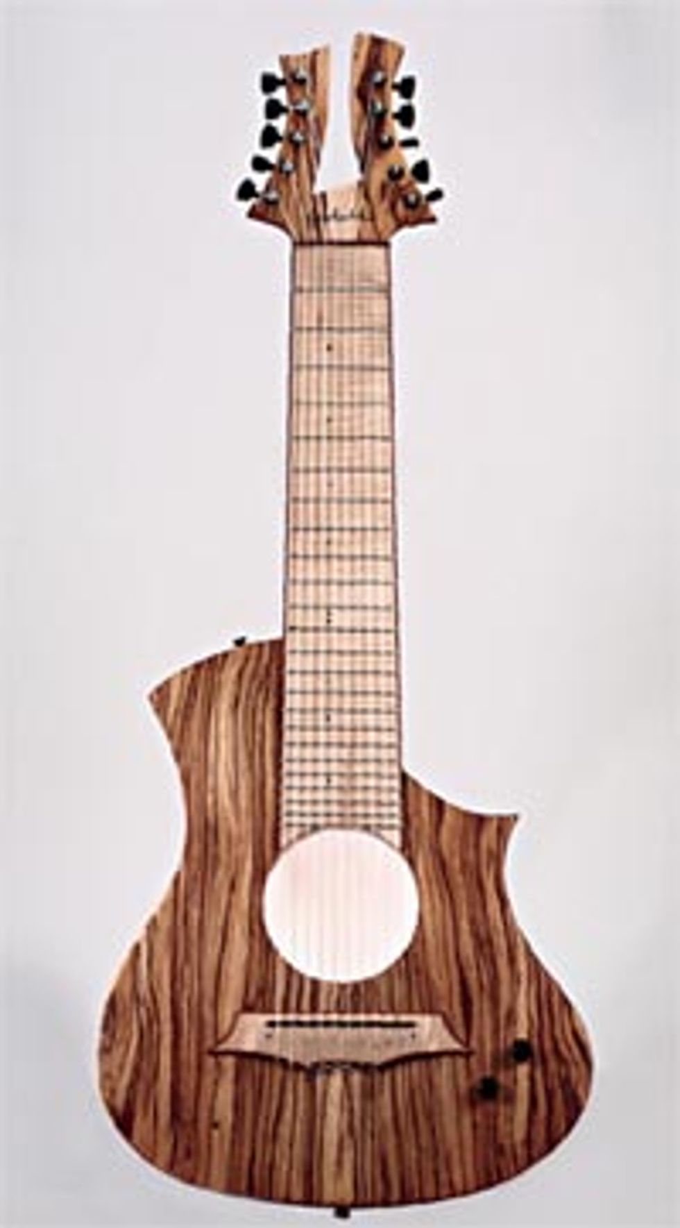 Gadotti: The 10-string King Nylon Electric