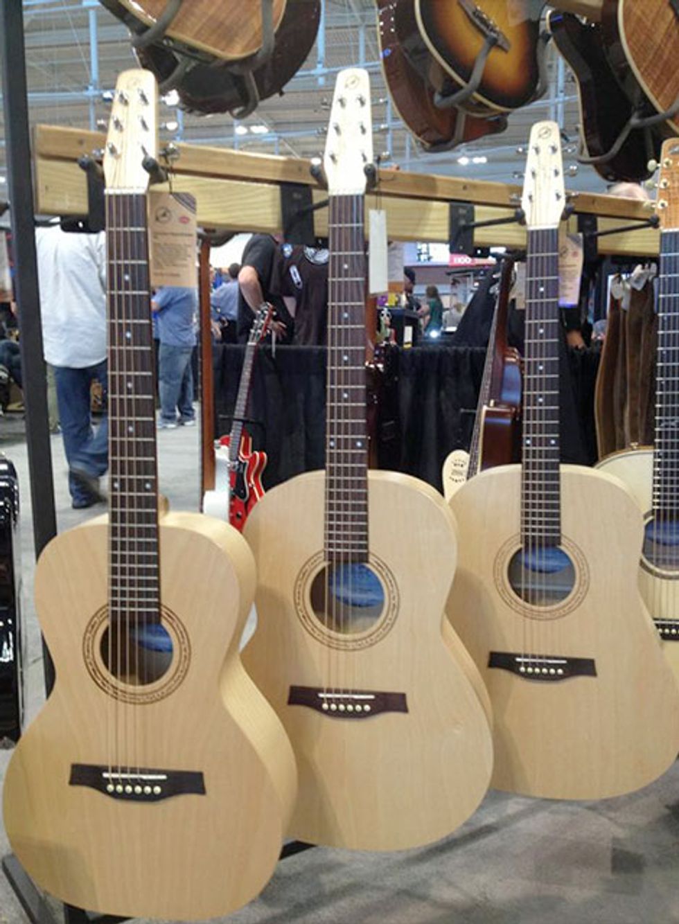 Godin Seagull Excursion