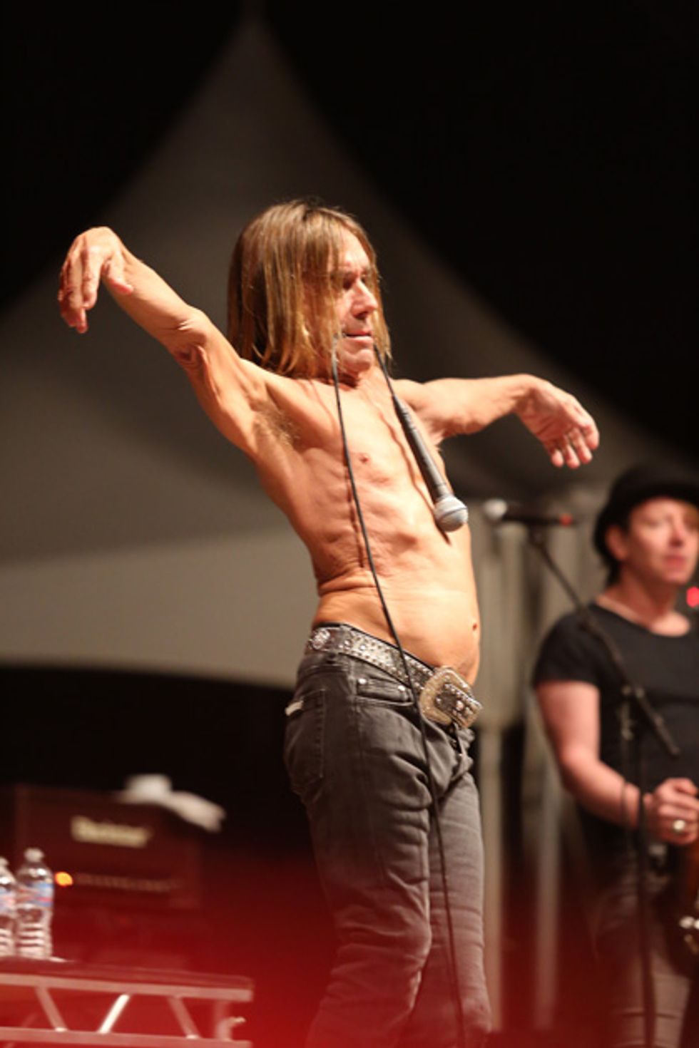 Iggy-WEB.jpg