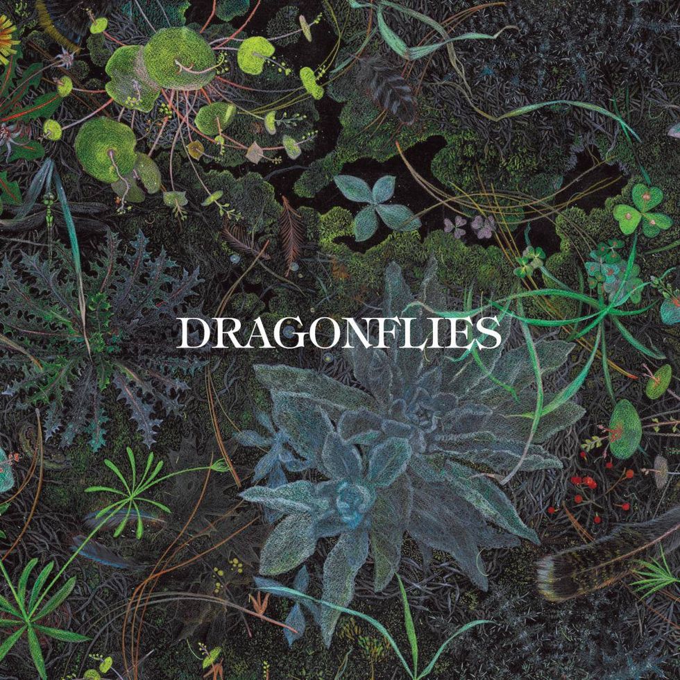 Illustration of plants with the title "Dragonflies" prominently displayed.