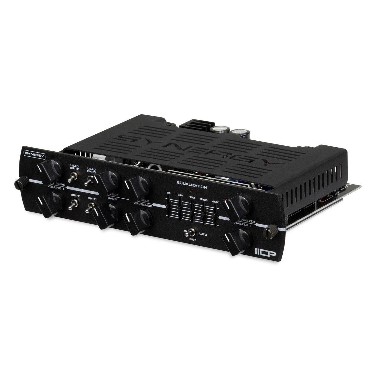 Synergy Reveals the IICP Module