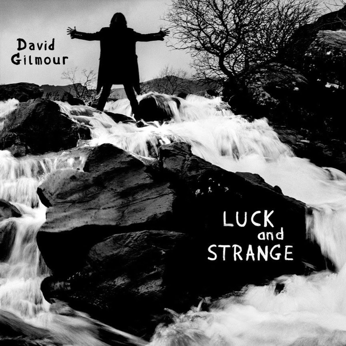 David Gilmour Announces New Album