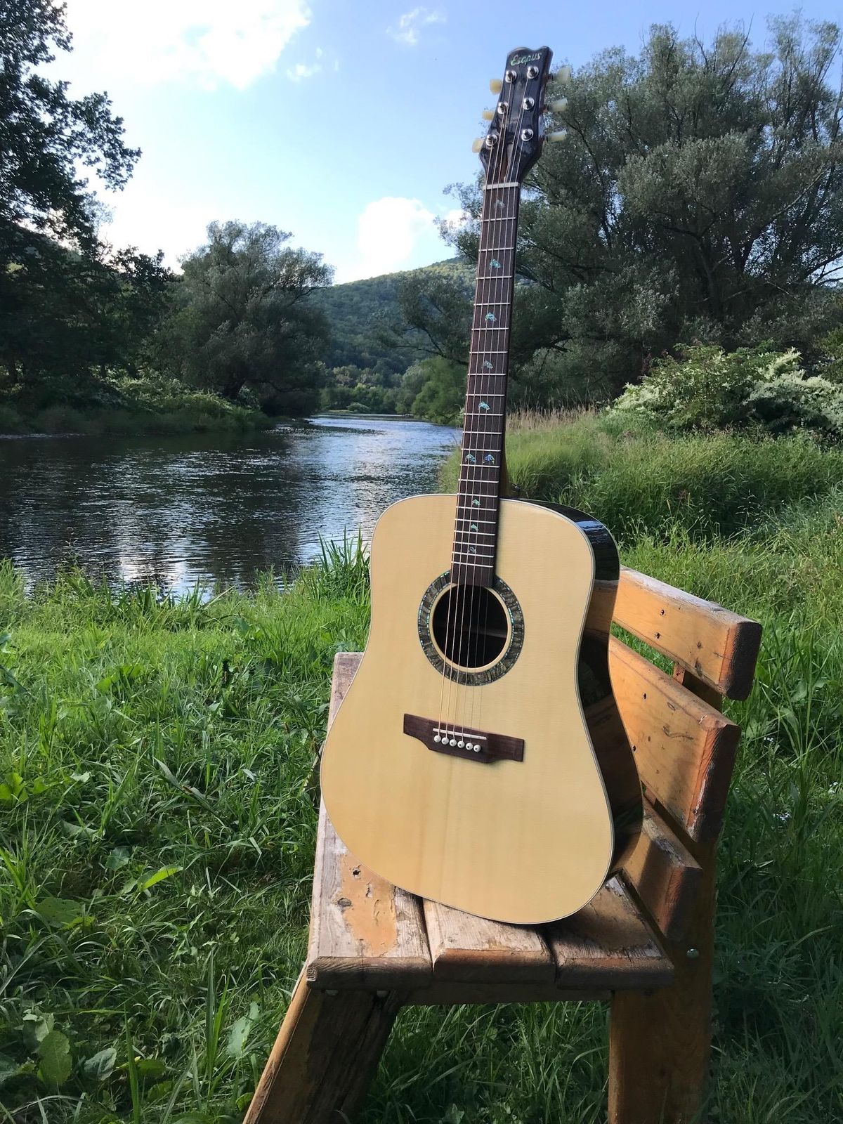 Stuart Spector Announces Esopus Guitars