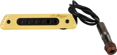 L.R. Baggs M80 Pickup Review - Premier Guitar
