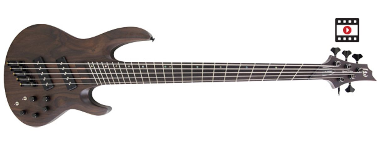 ESP LTD B-1005SE Multi-Scale Bass Review