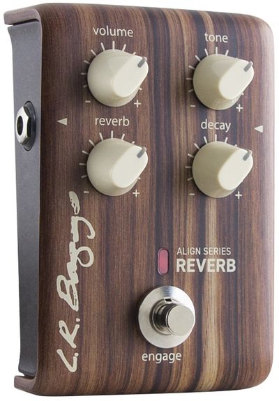 Quick Hit: L.R. Baggs Align Series Reverb Review - Premier Guitar