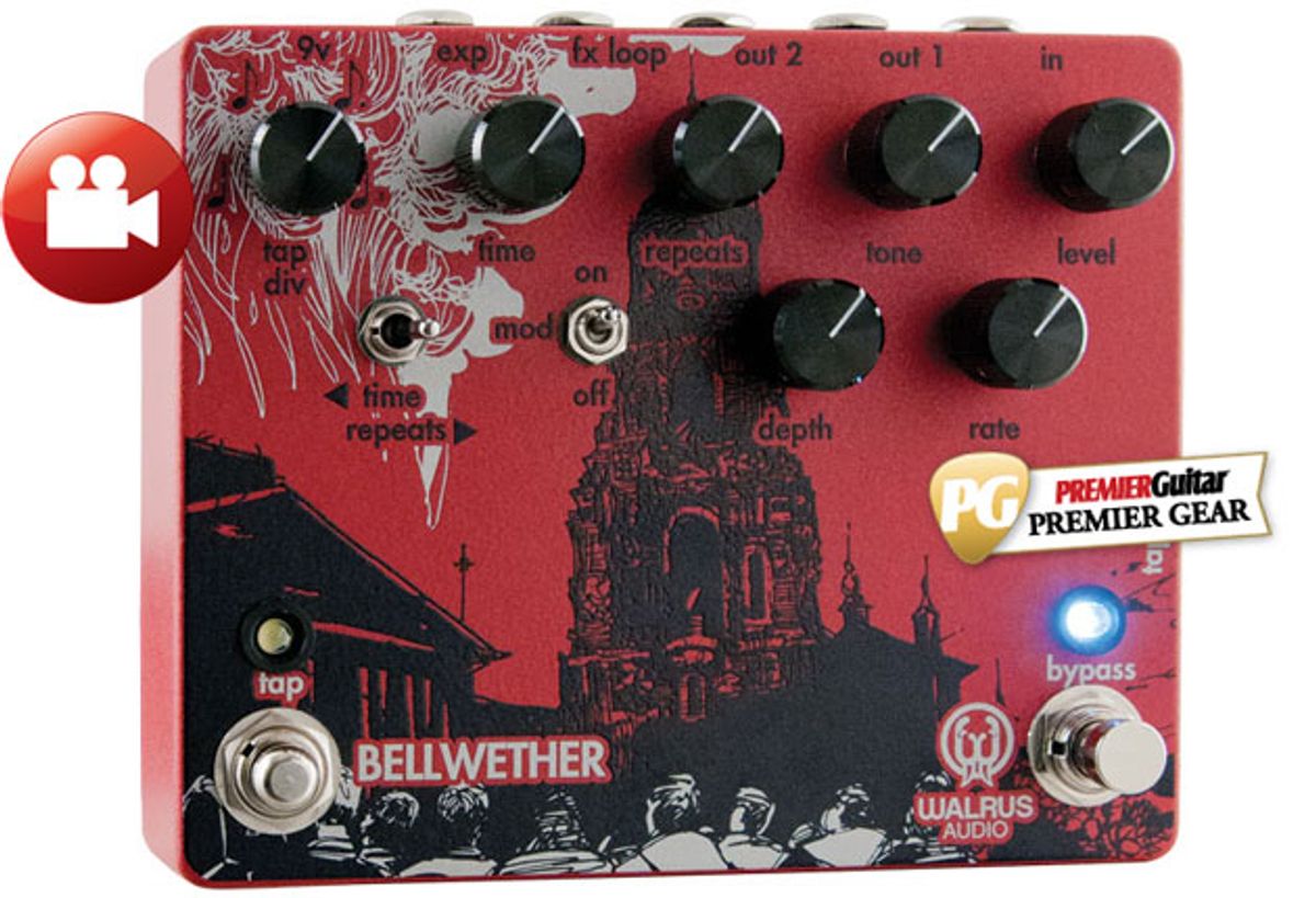 Walrus Bellwether Review