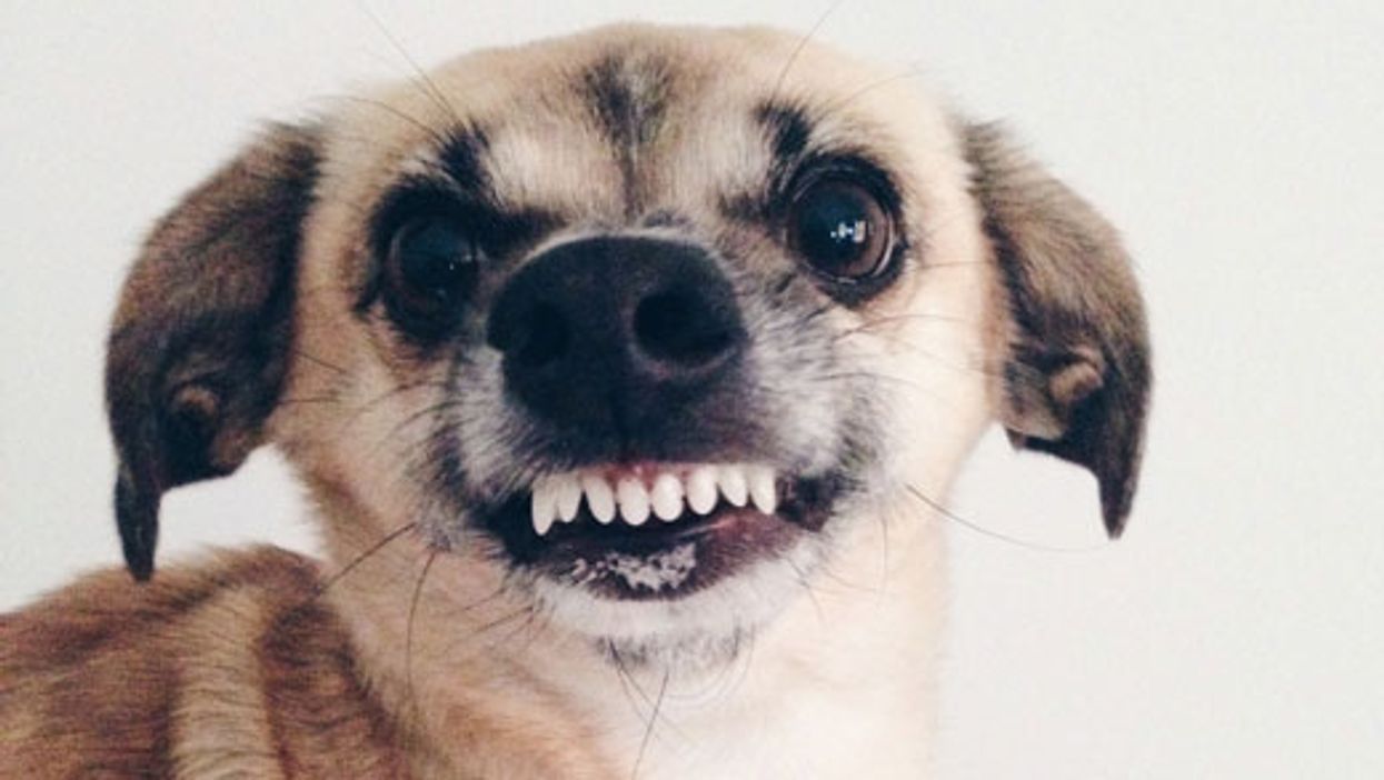 State of the Stomp: A Pedal Builder’s Pet Peeves