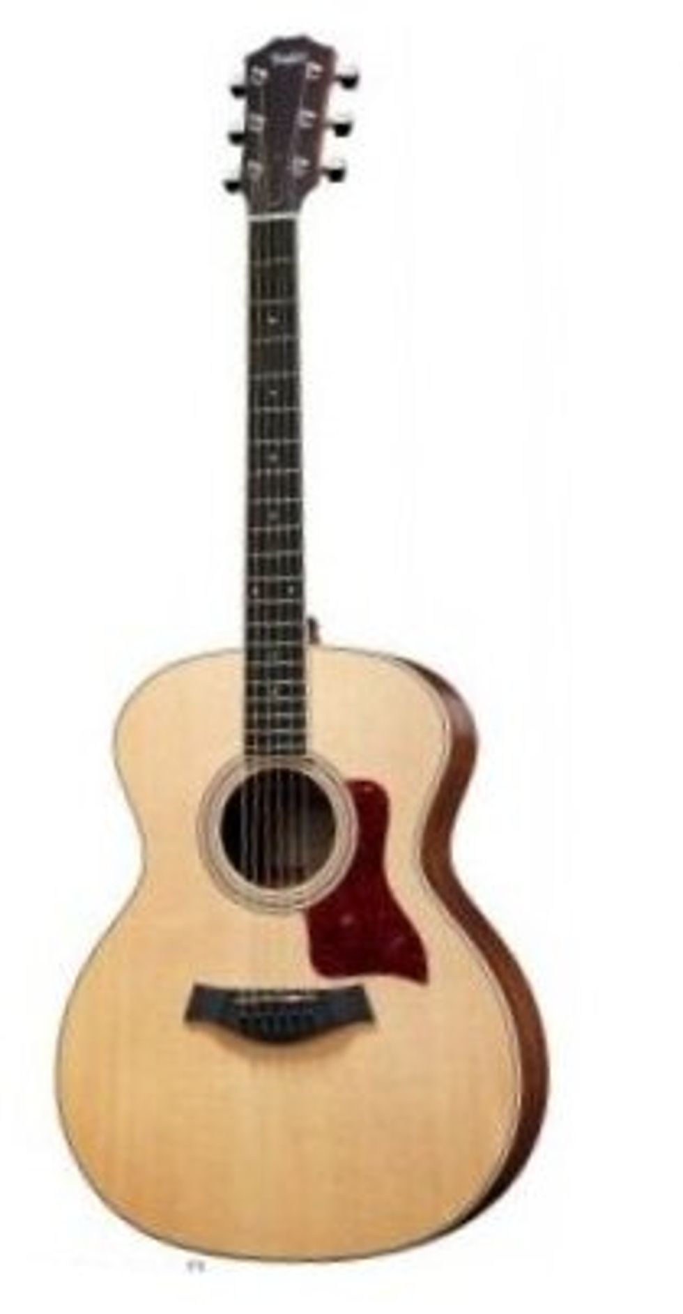 Fender and Taylor Team Up in Europe