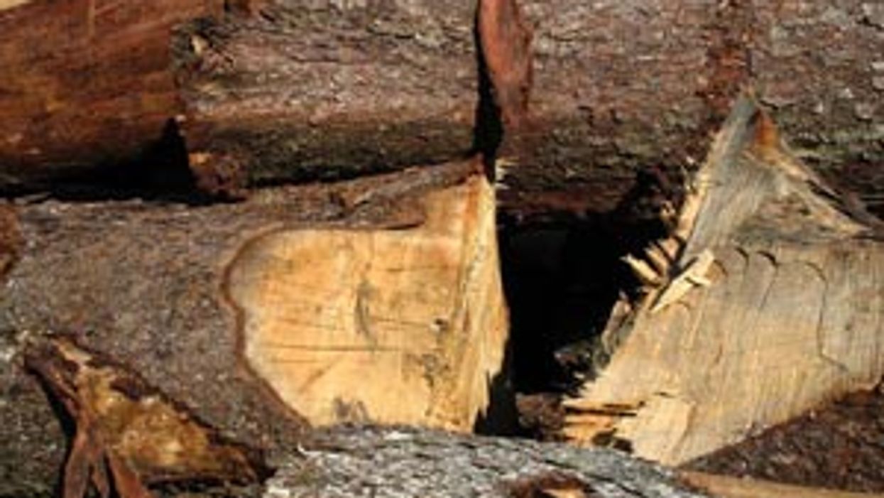 Sprucing Up the Place