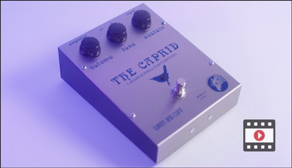 First Look: Wren and Cuff Blue Caprid