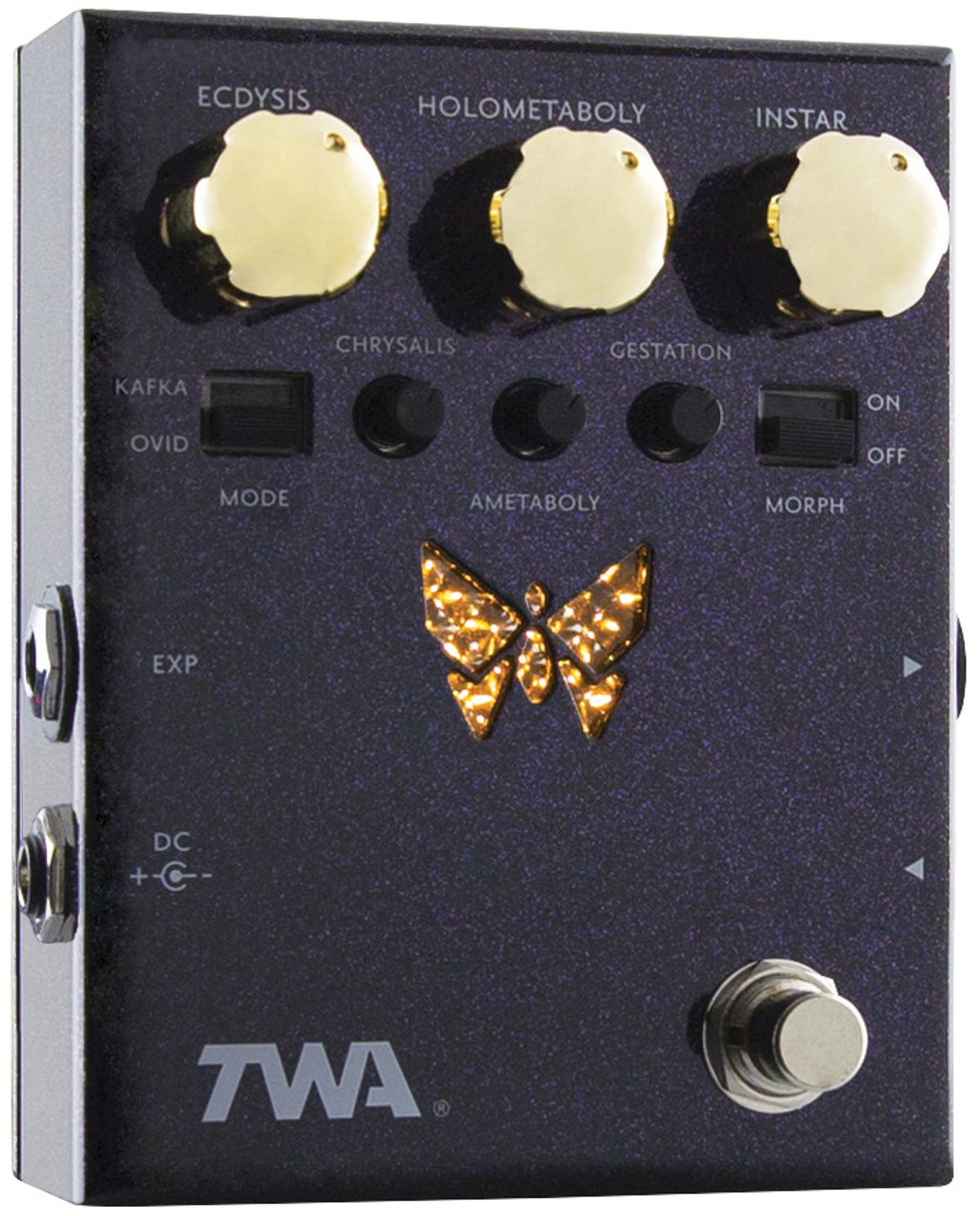 TWA DM-02 Dynamorph Review