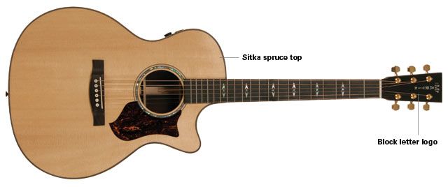 Martin GPCPA1 Grand Performance Acoustic Guitar Review