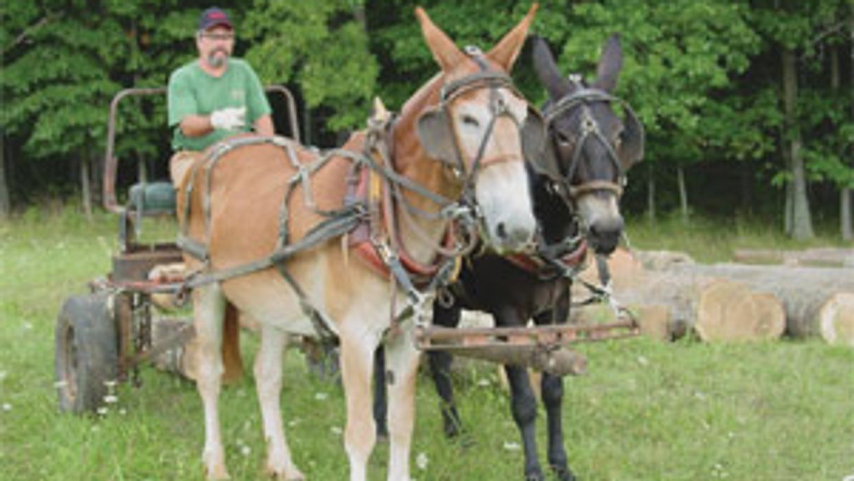 Today’s Acoustics: Tradition vs. Alternative Woods
