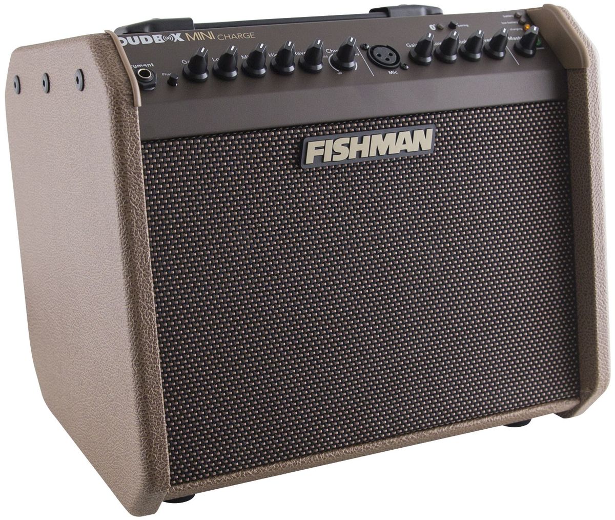 Quick Hit: Fishman Loudbox Mini Charge Review