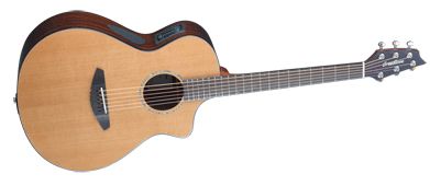 Breedlove Introduces the Solo Series
