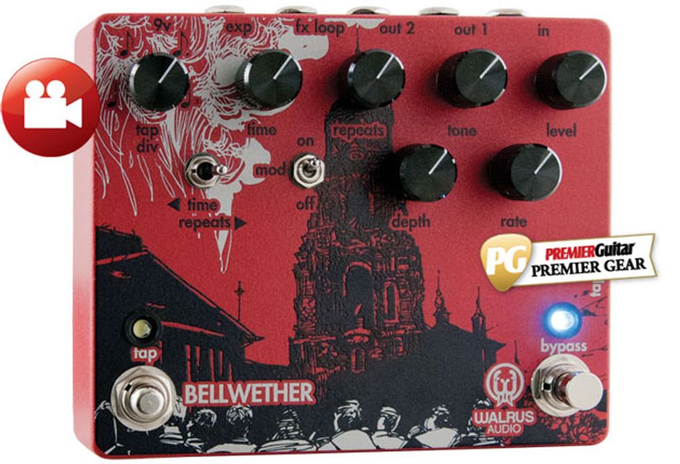 Walrus Bellwether Review