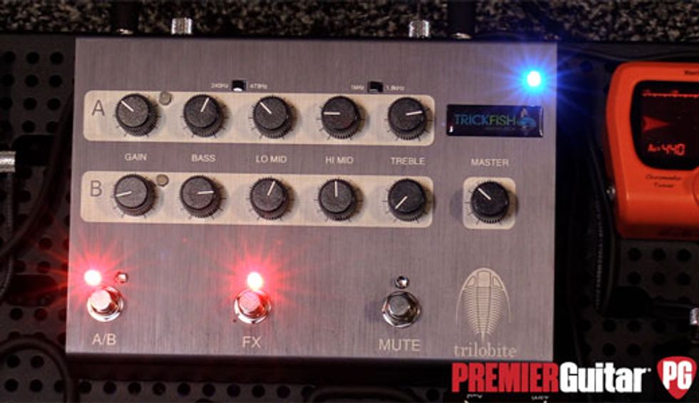 SNAMM '18 - Trickfish Amplification Trilobite Demo