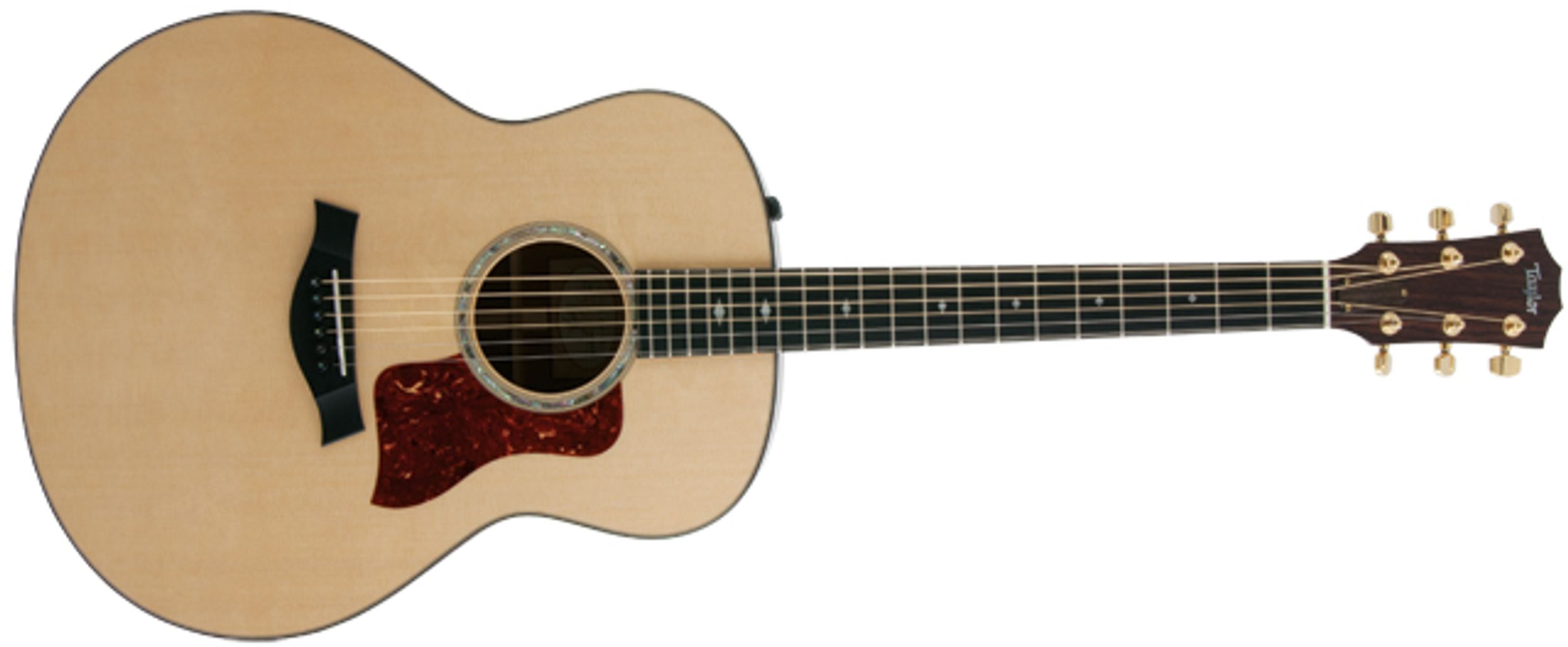Taylor 518E Acoustic Guitar Review