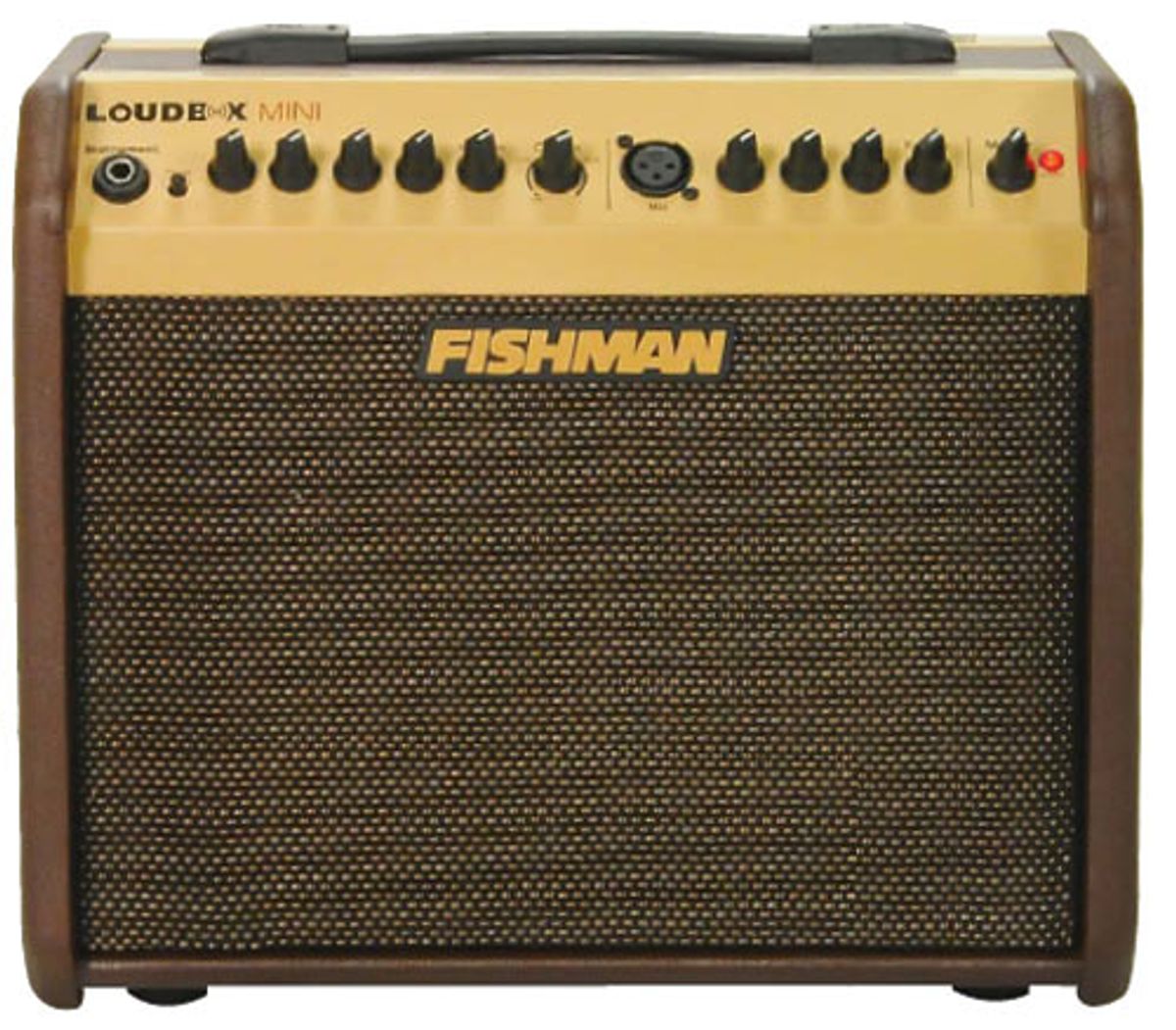 Fishman Loudbox Mini Acoustic Amp Review