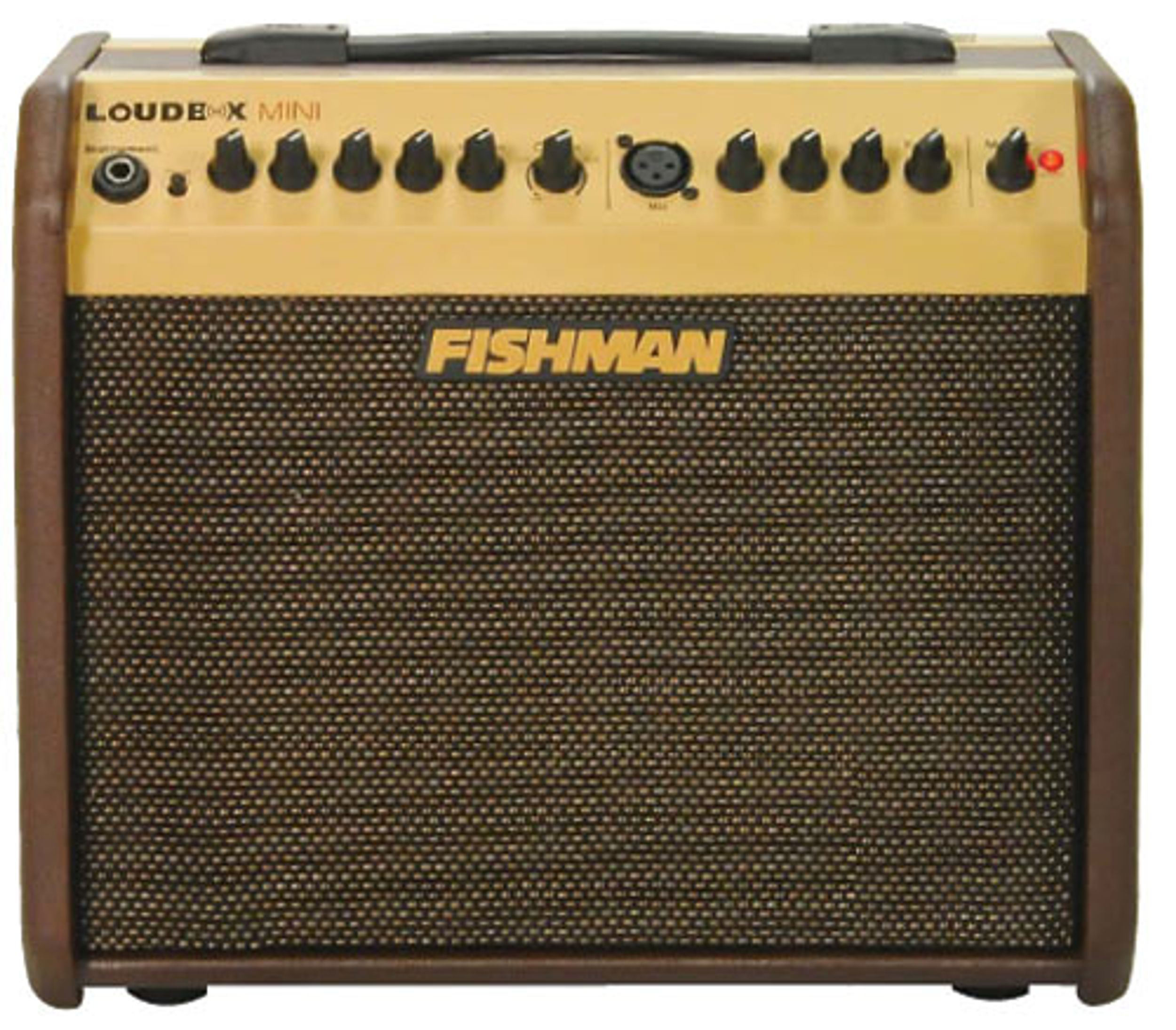 Fishman Loudbox Mini Acoustic Amp Review