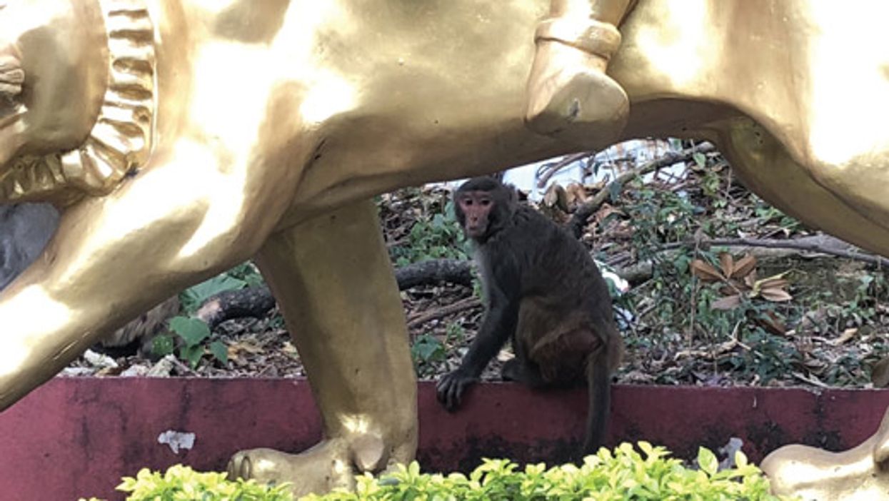 State of the Stomp: Make Yourself Some Inspiration