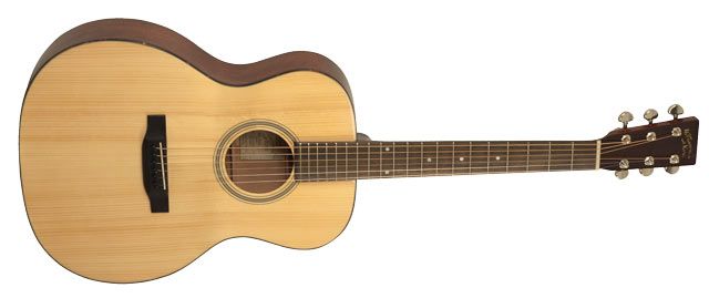 Recording King RO-310 Acoustic Guitar Review